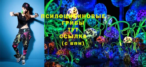 apvp Медвежьегорск