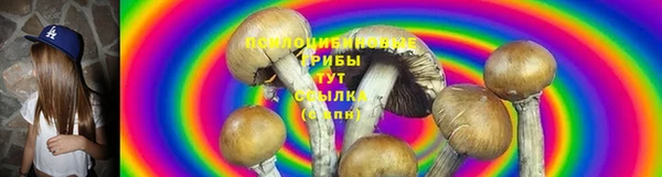 дживик Медногорск