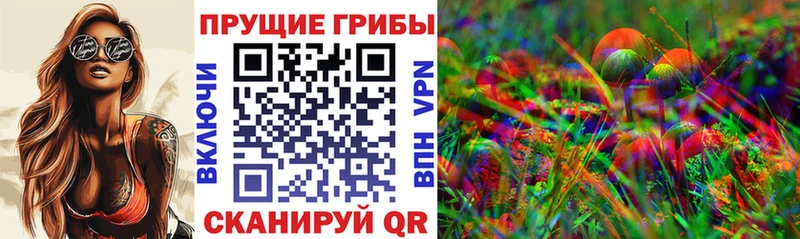 Галлюциногенные грибы Cubensis  KRAKEN маркетплейс  Суровикино  что такое наркотик 